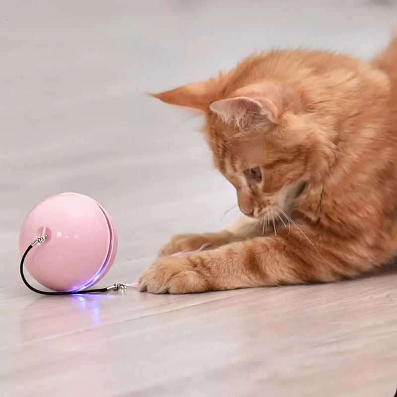 Brinquedo Interativo e Autônomo para Cães/Cachorros e Gatos | PetBall